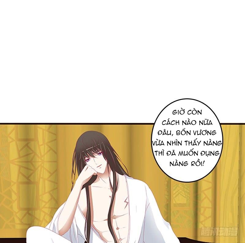 Thông Linh Phi: Chapter 488