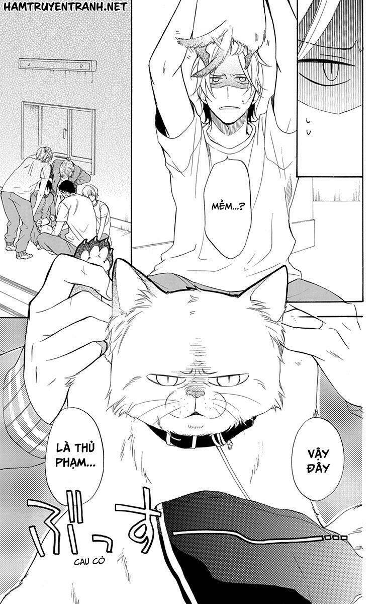 Dansui: Chapter 11
