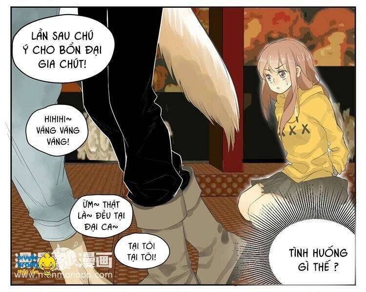 Cứu Mạng! Loài Mèo Thống Trị Thế Giới Rồi!: Chapter 19