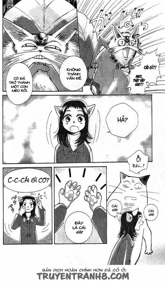 Lời Thì Thầm Từ Trái Tim: Chapter 8