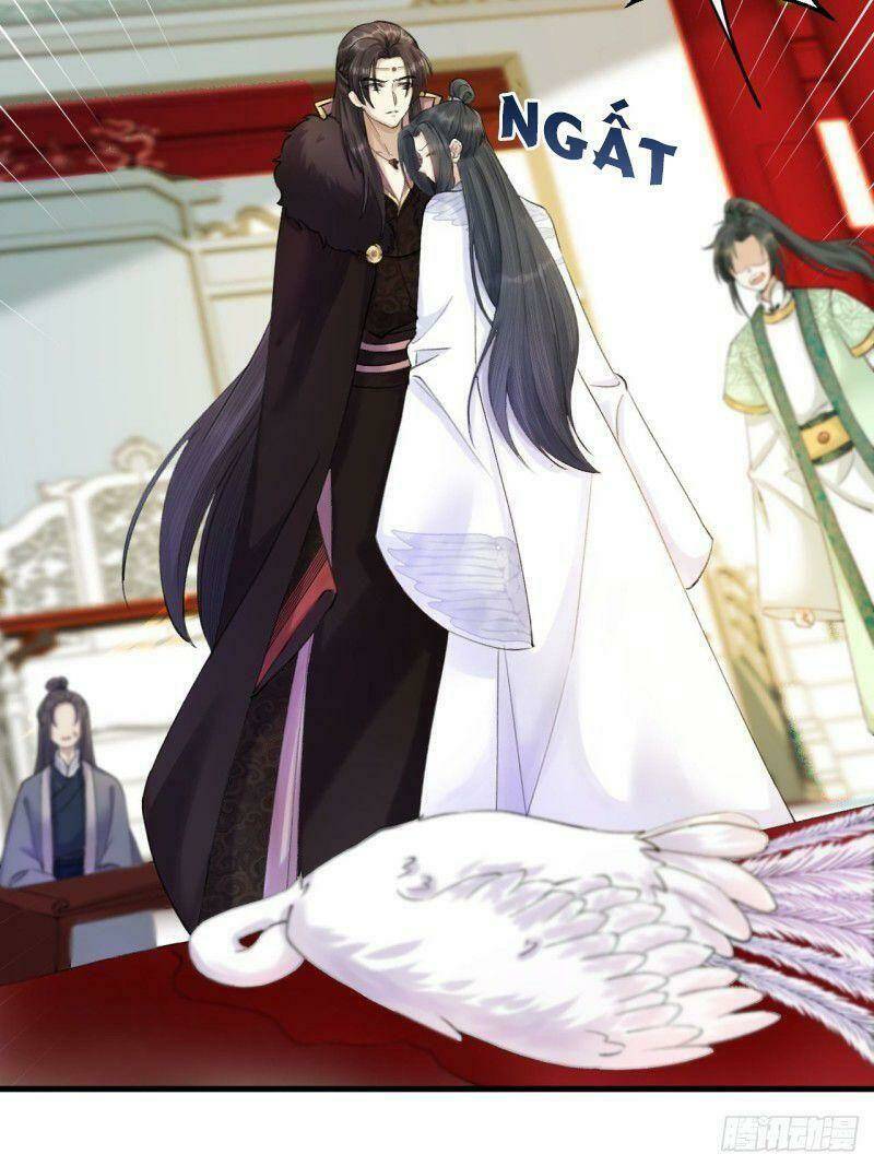 Lễ Băng Nhạc Phôi Chi Dạ: Chapter 3