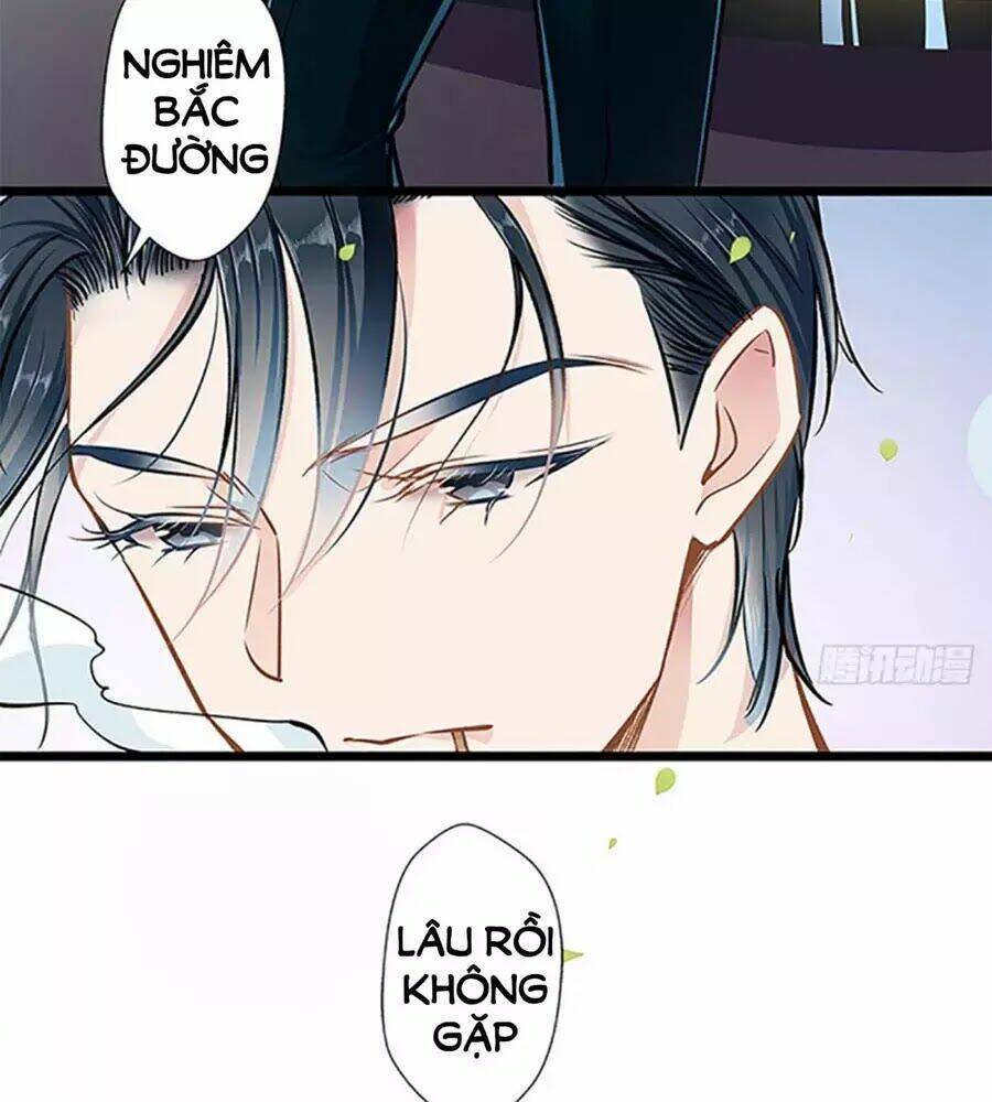 Cưng Chiều Ái Thê Hư Hỏng: Chapter 41
