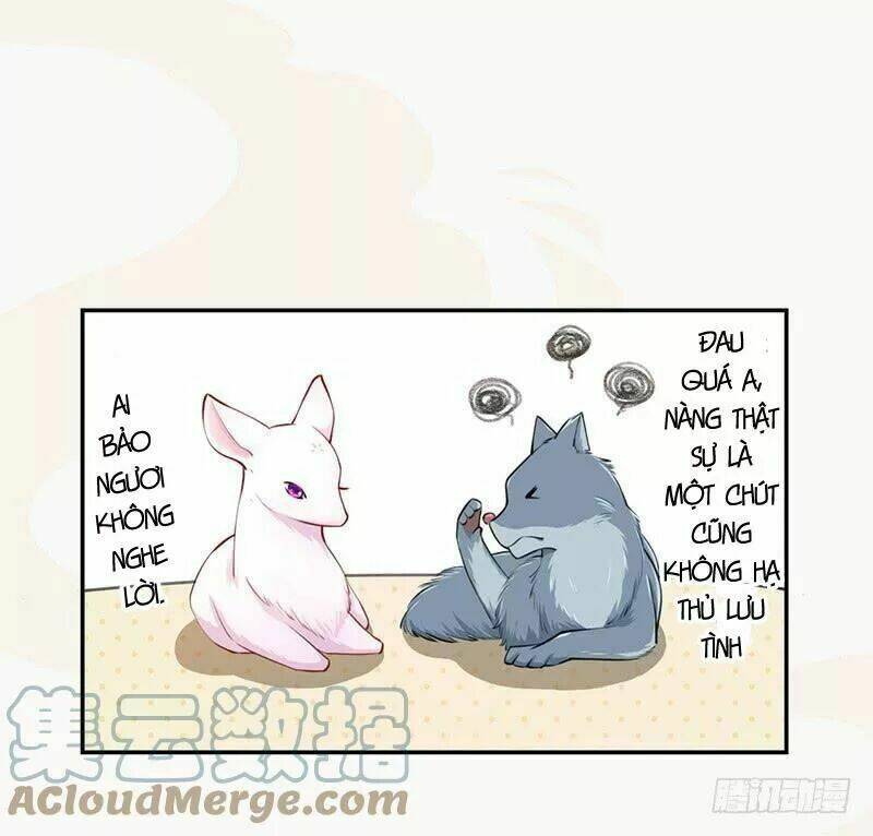 Tuyệt Thế Luyện Đan Sư: Chapter 34