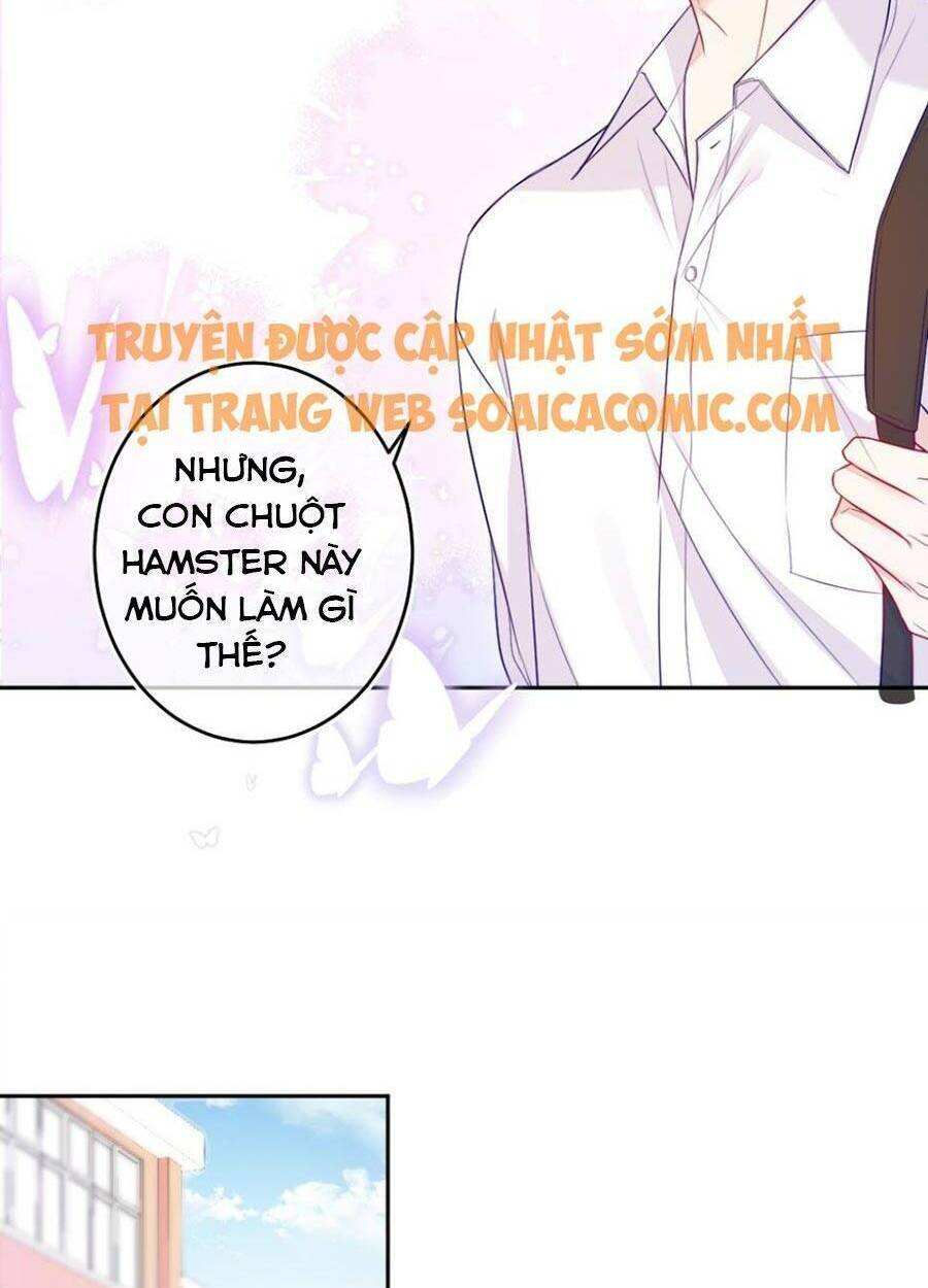 Khi Cô Gái Nhìn Thấy Thời Gian: Chapter 3