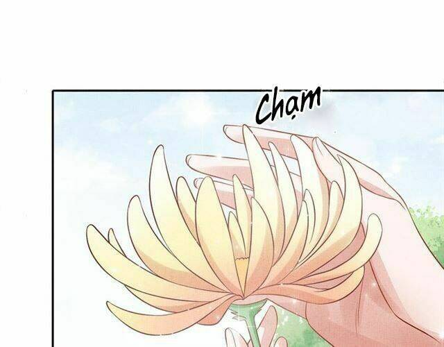 Thịnh Sủng Y Phi Chi Dao Quan Truyện: Chapter 104