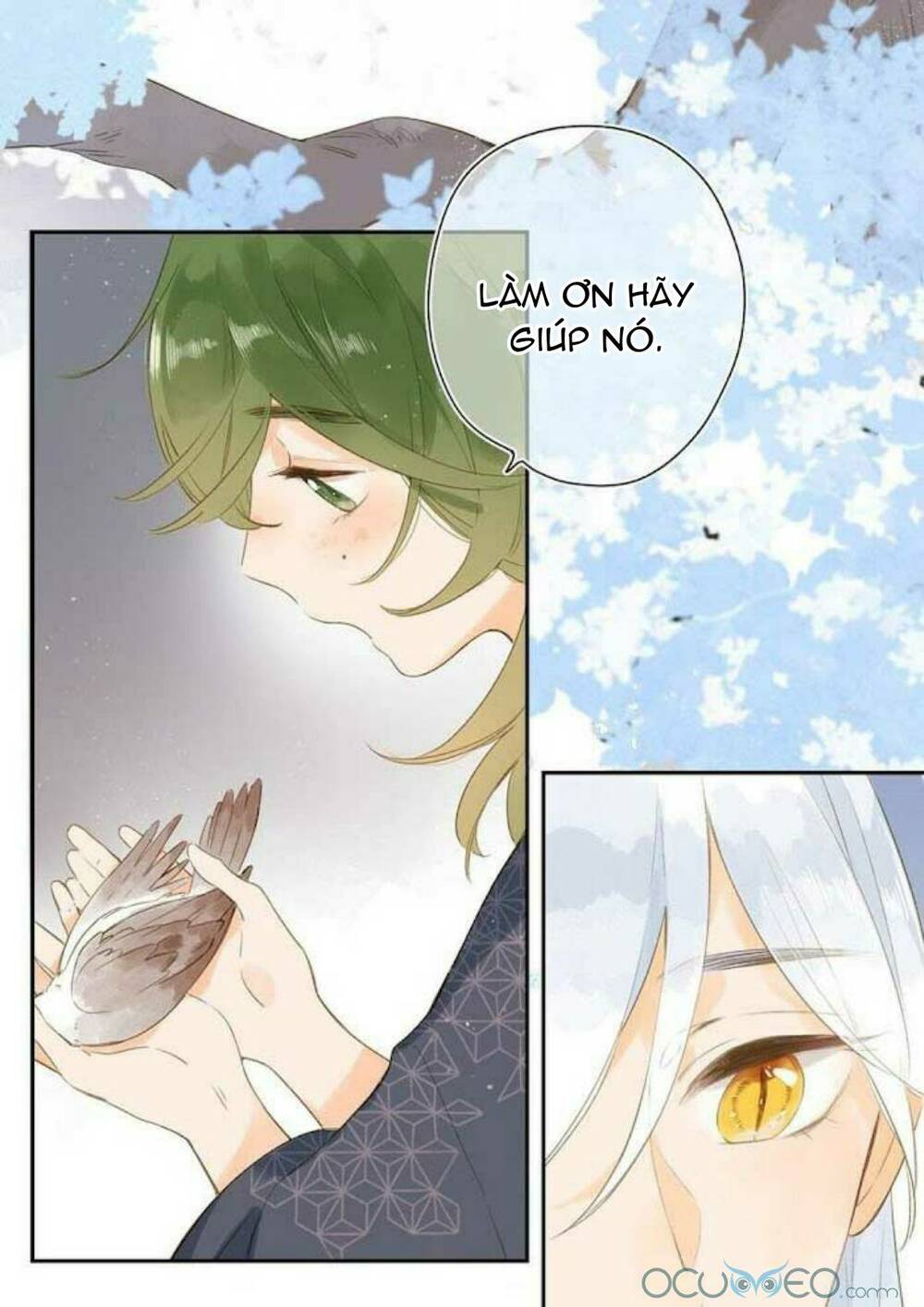 Sos! Tôi Đã Yêu Một Con Sâu Bướm (Phần 2): Chapter 11
