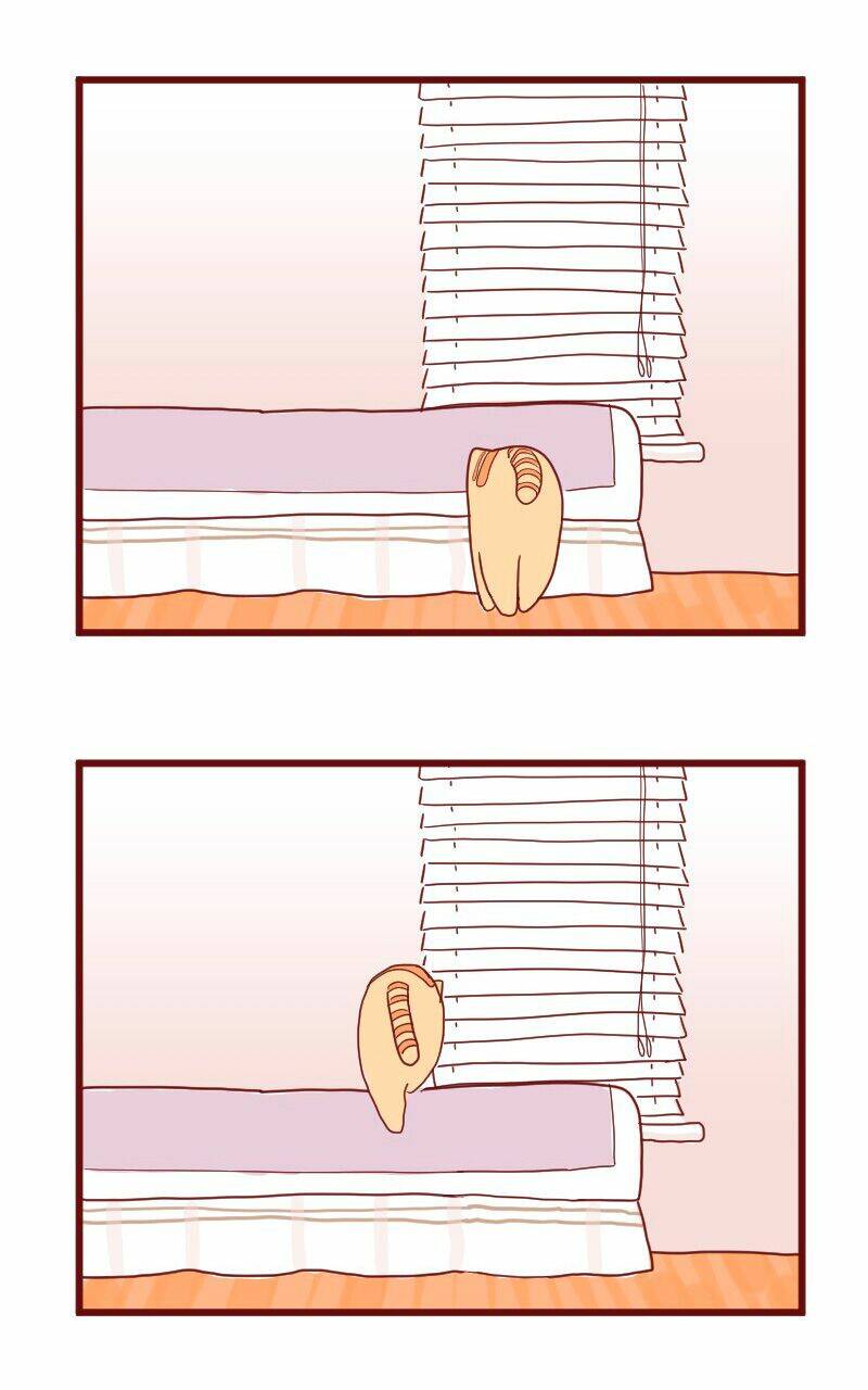 Saphie: Chú mèo một mắt: Chapter 10