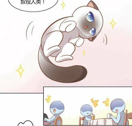 Dưới Móng Vuốt Mèo: Chapter 8