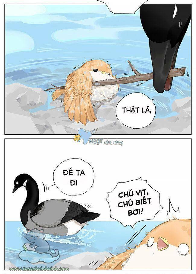 Chim Sẻ Gọi Ngỗng Trời: Chapter 8