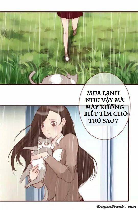 Trả Thù Trường Trung Học: Chapter 5