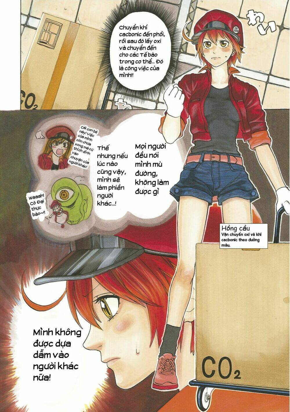 Hataraku Saibou!: Chapter 10