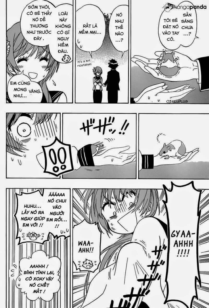 Tình Yêu Ngang Trái: Chapter 142