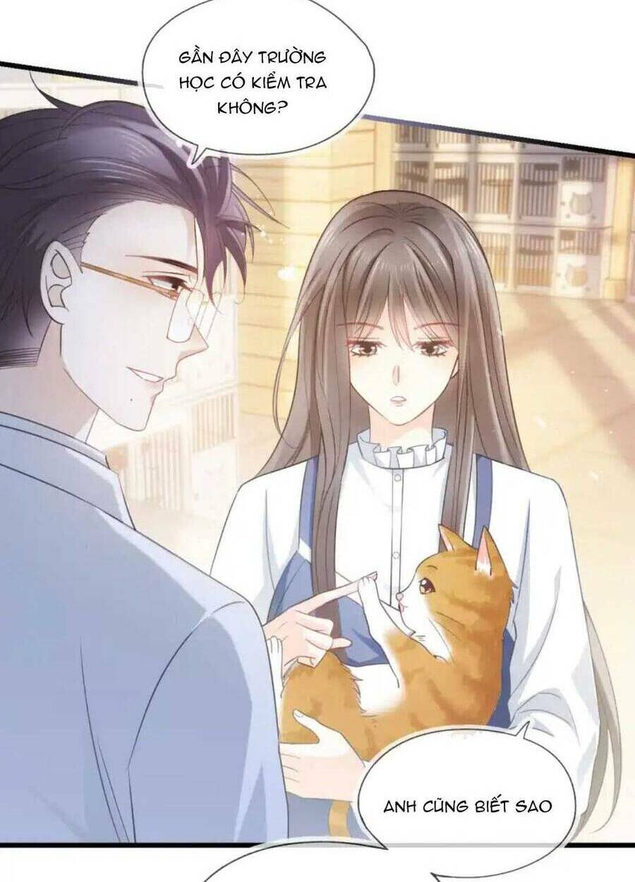 Thế Thân Hào Môn: Chapter 11