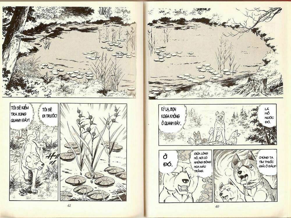 Chú Chó Có Nghĩa - Ginga Nagareboshi Gin: Chapter 19