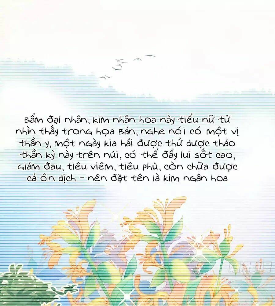 Trọng Sinh Chi Đích Nữ Bất Thiện: Chapter 13