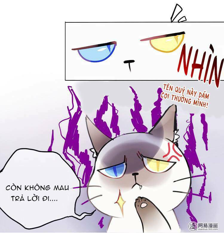 Nghe Thấy Thời Gian Rung Động: Chapter 2