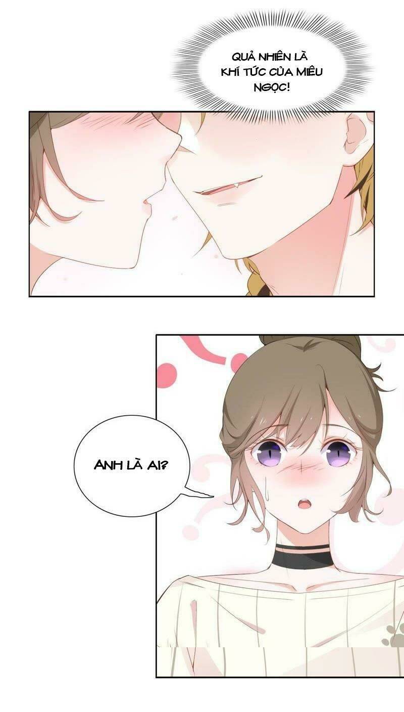 Thập Nhị Hắc Miêu: Chapter 2