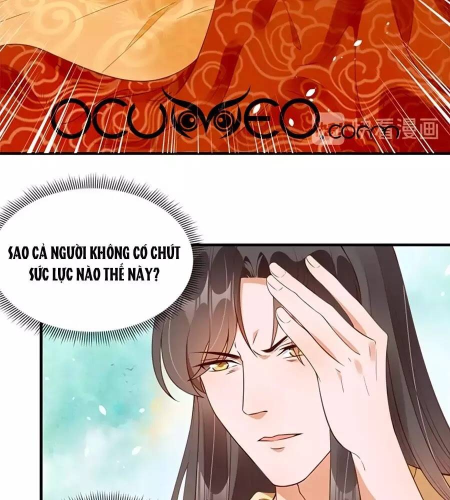 Thịnh Thế Lê Hoa Điện: Chapter 94