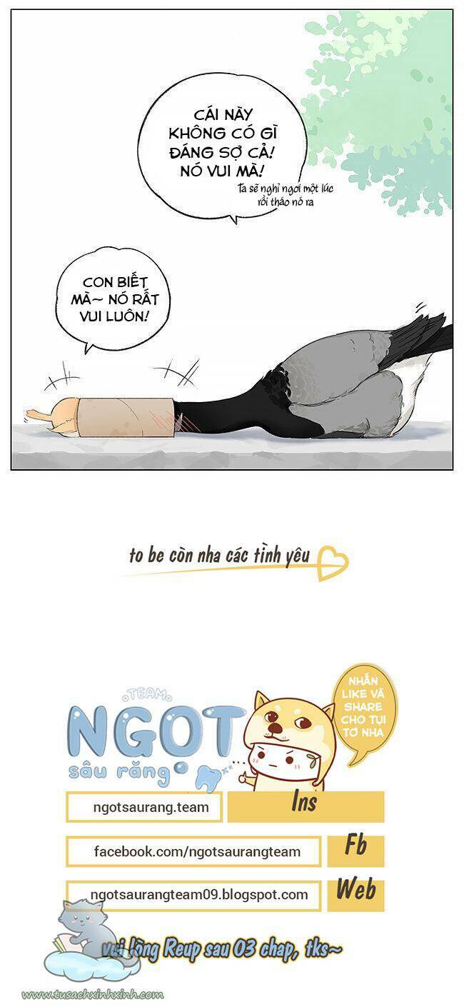 Chim Sẻ Gọi Ngỗng Trời: Chapter 3