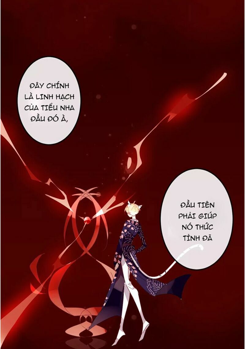 Ngô hoàng tại thượng: Chapter 5
