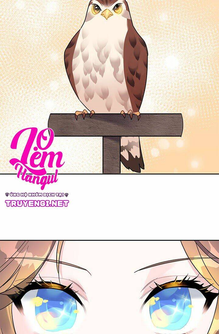 Công Chúa Của Loài Chim: Chapter 14