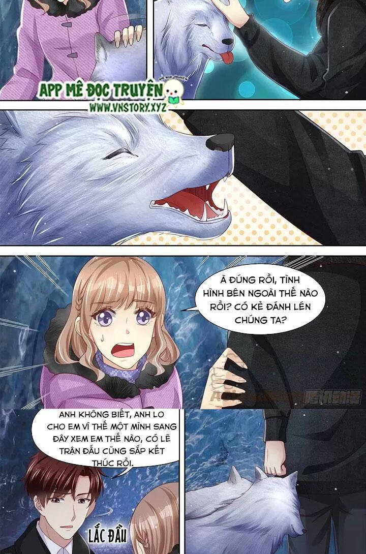 Cưng Chiều Vợ Yêu: Chapter 309: Lần này phiền phức rồi