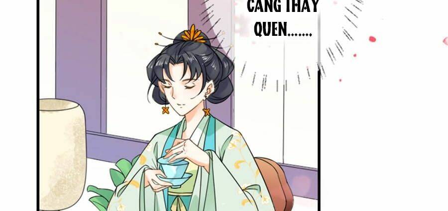 Tang Lạc Túy Tại Nam Phong Lý: Chapter 24