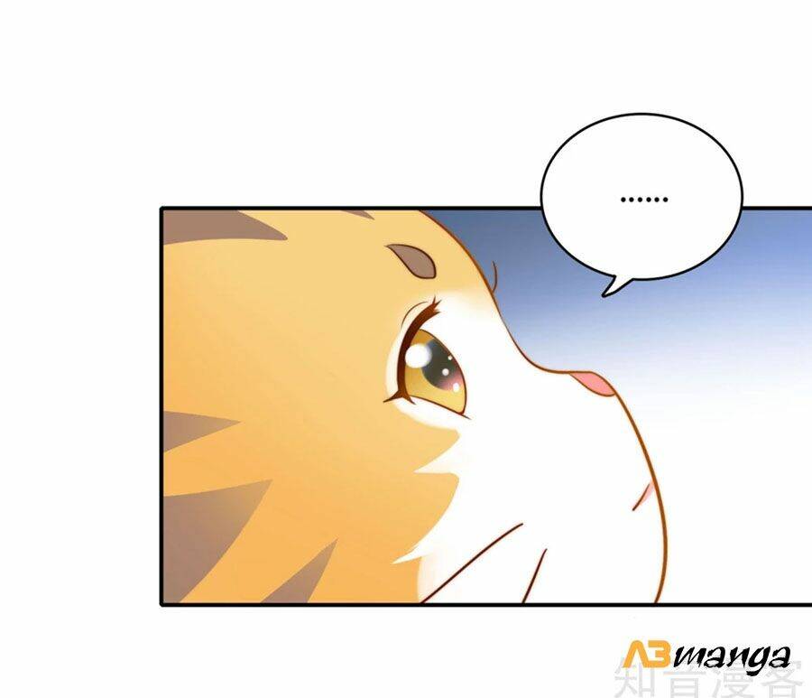 Hẹn Hò Siêu Tốc: Chapter 1