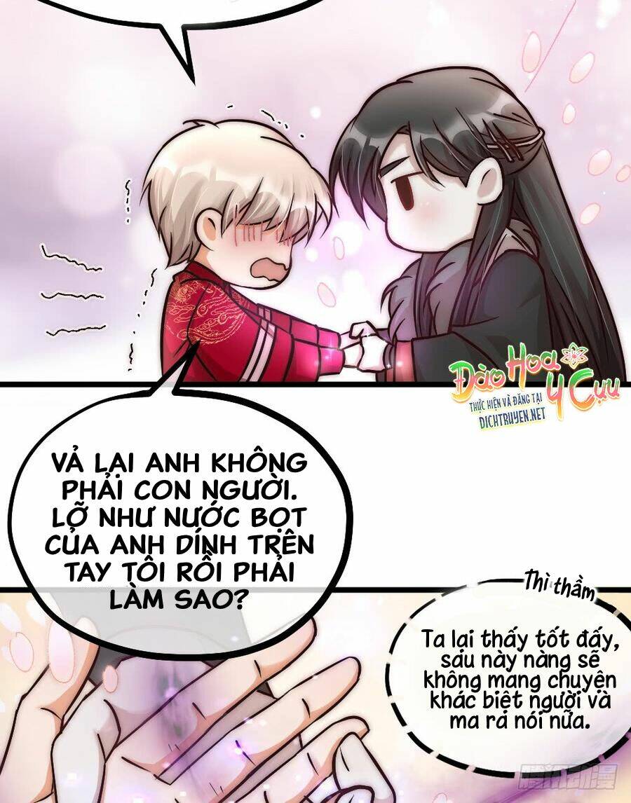 Phu Phu Khuynh Thành: Chapter 5