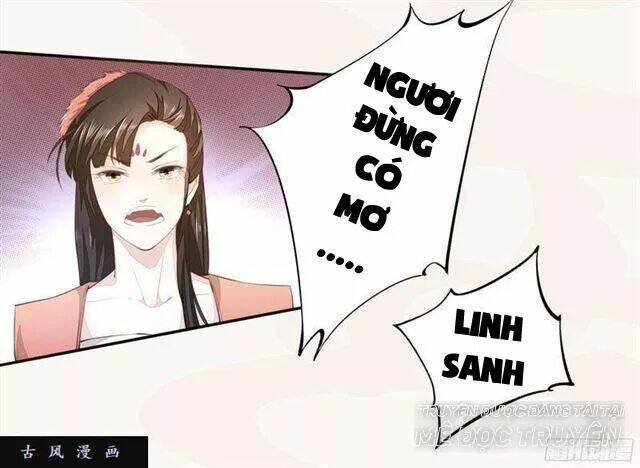 Tuyệt Thế Luyện Đan Sư: Chapter 24