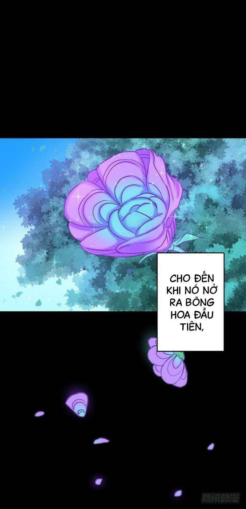 Nhân Ngư Học Trưởng, Đừng Ôm Ta!: Chapter 70