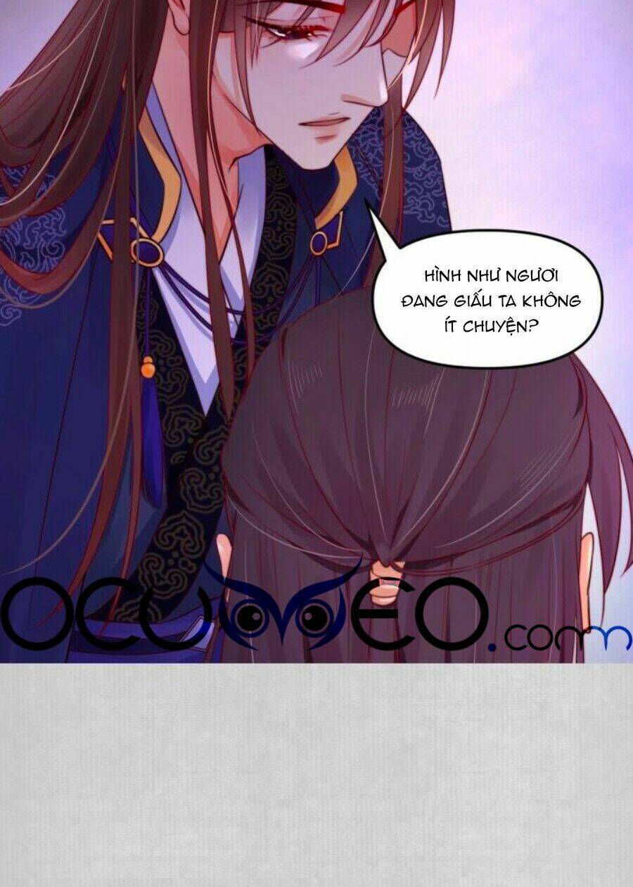 Hoạn Phi Hoàn Triều: Chapter 13