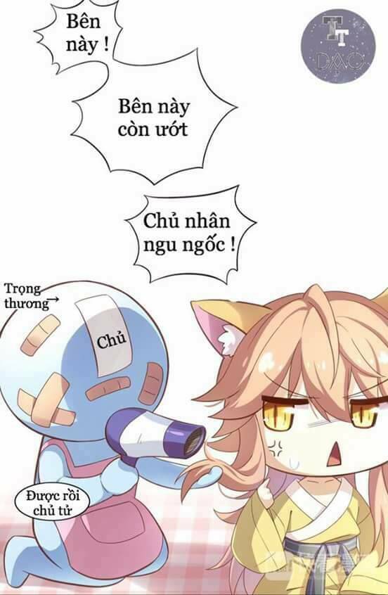 Dưới Móng Vuốt Mèo: Chapter 1