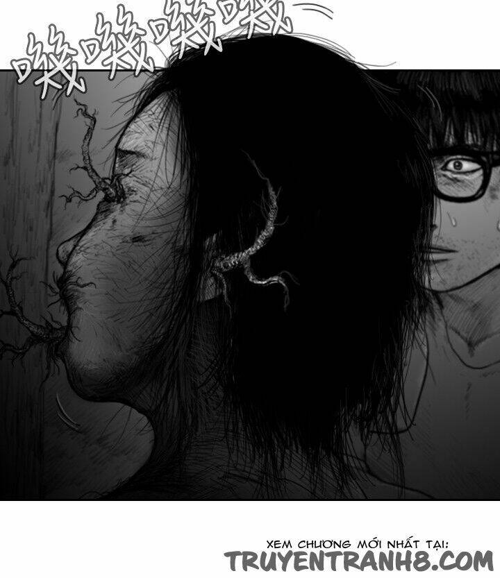 Hạt Giống Mỹ Nhân: Chapter 37