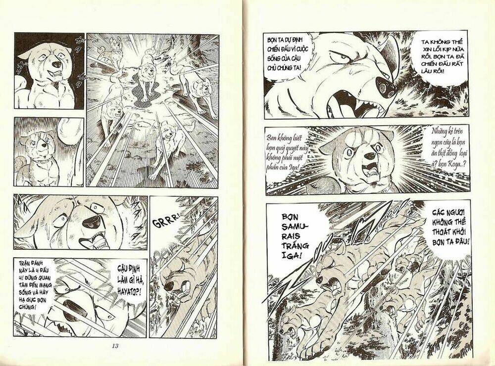 Chú Chó Có Nghĩa - Ginga Nagareboshi Gin: Chapter 19