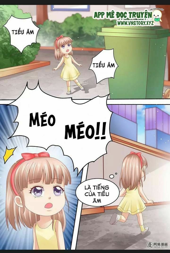 Cưng Chiều Vợ Yêu: Chapter 73: Chuyện cũ về mèo