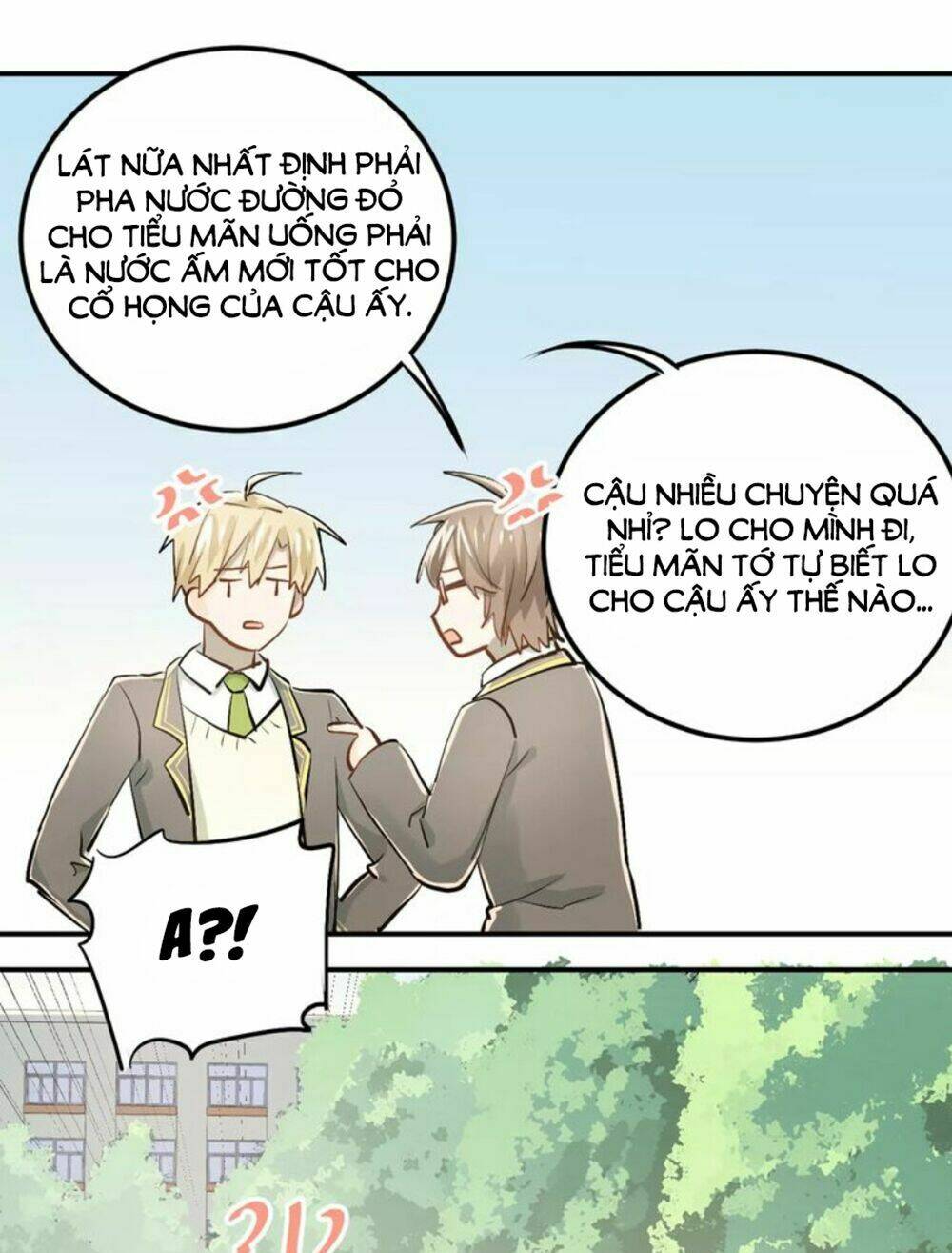 Đầu Gấu Biết Yêu: Chapter 51