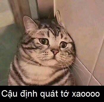 Thực Nhị: Chapter 14.2