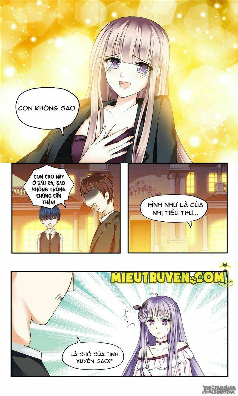 Vợ Yêu Cưới Trước Sủng Sau: Chapter 4