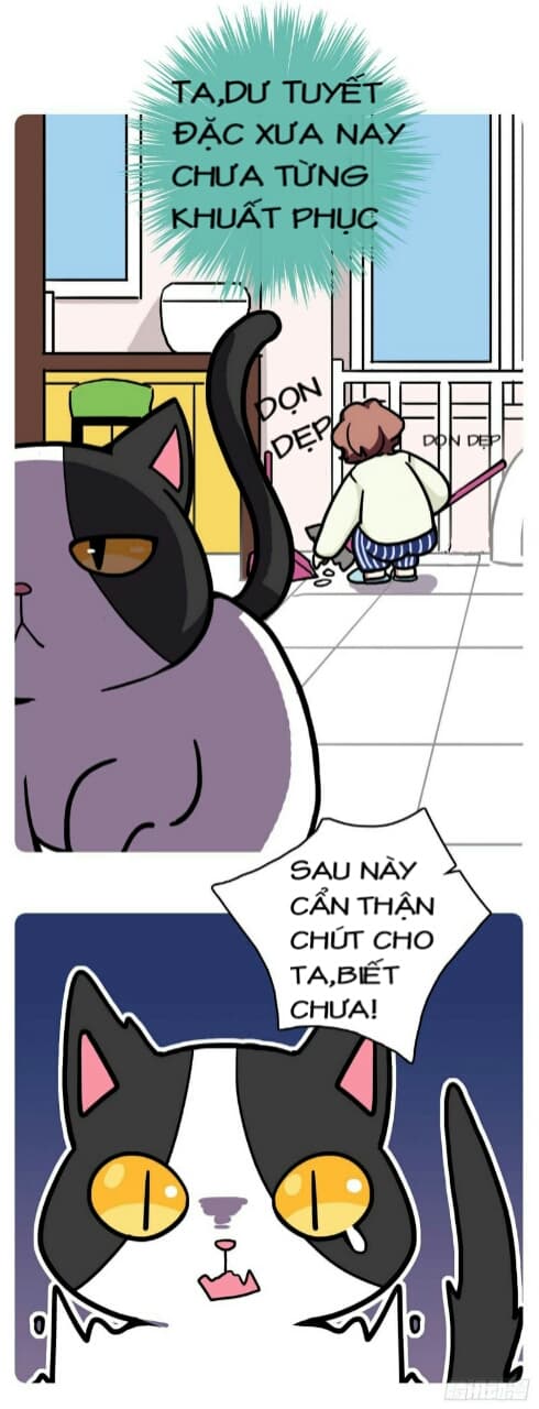 Hello Dư Tuyết Đặc: Chapter 1