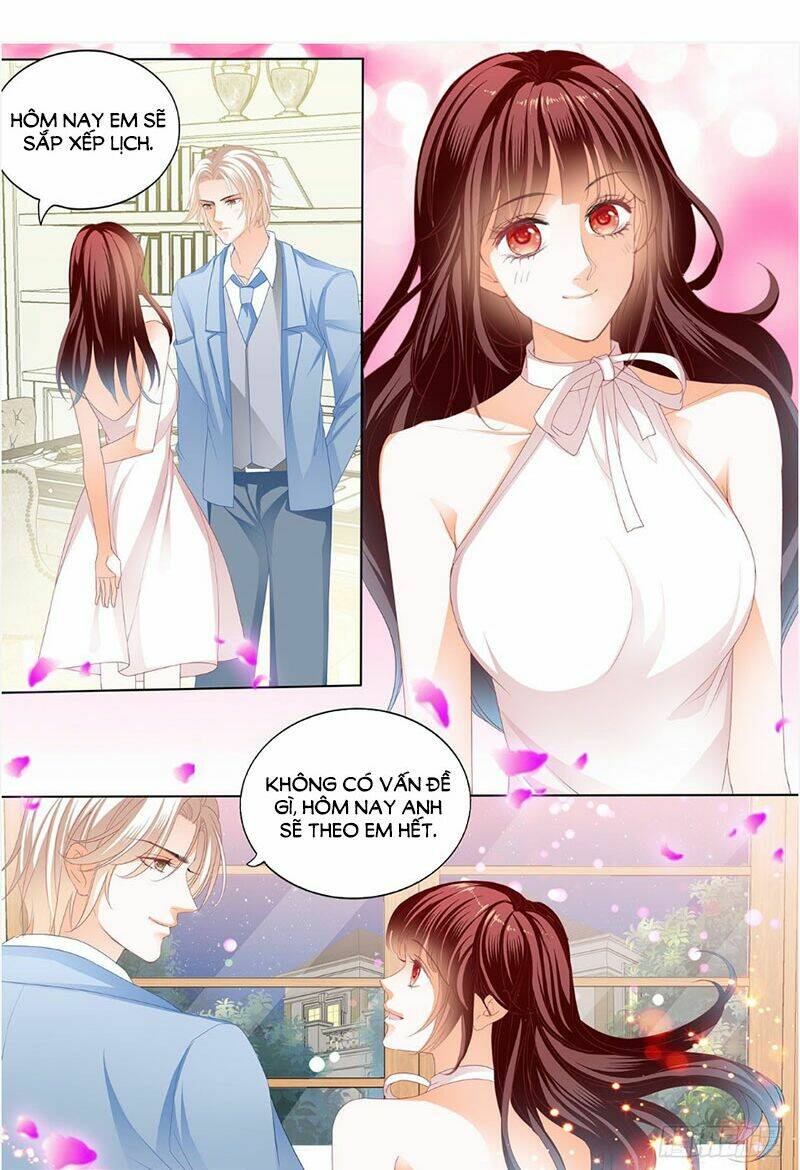 Thiểm Hôn Kiều Thê: Chapter 247