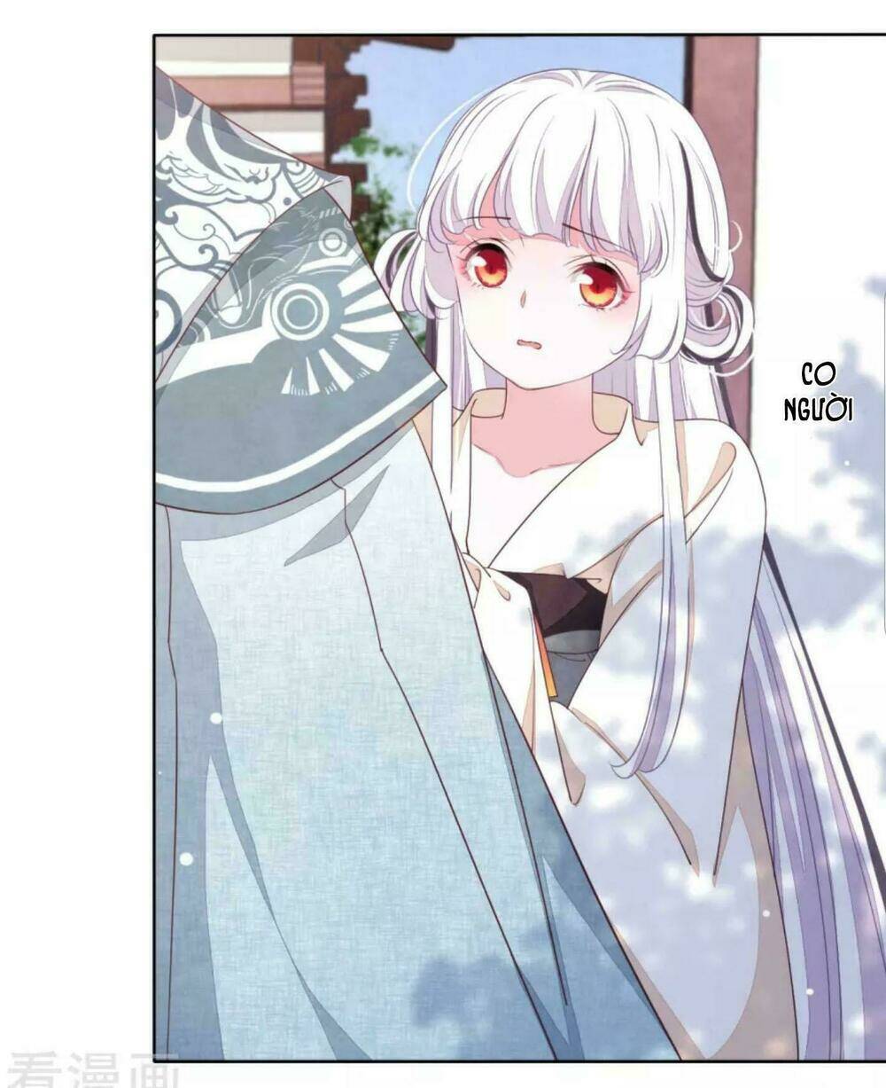 Xuyên Về Cổ Đại Làm Quốc Bảo: Chapter 13