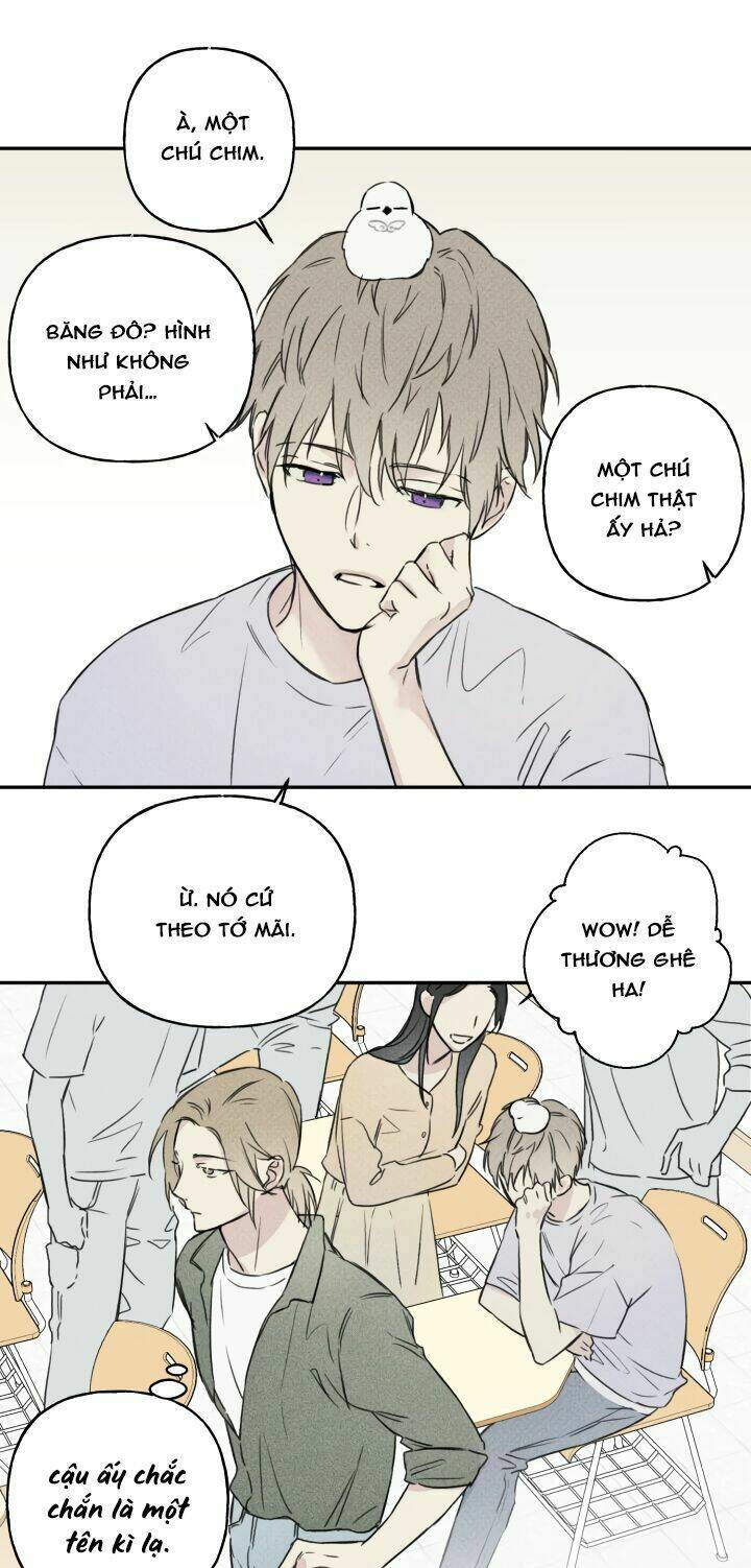 Angel Buddy: Chapter 3