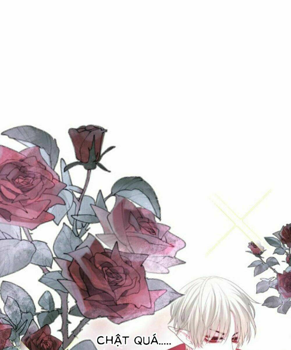 Tháng Sáu Không Hẹn Mà Gặp: Chapter 33