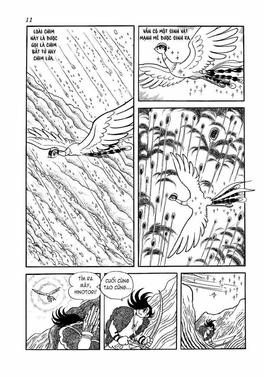 Chim Lửa: Chapter 1