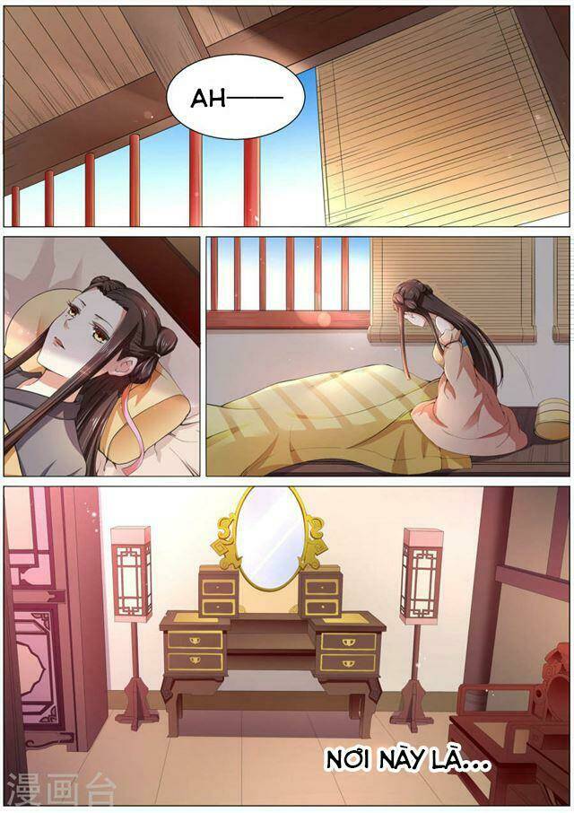 Bạch Chỉ Y Tiên: Chapter 1