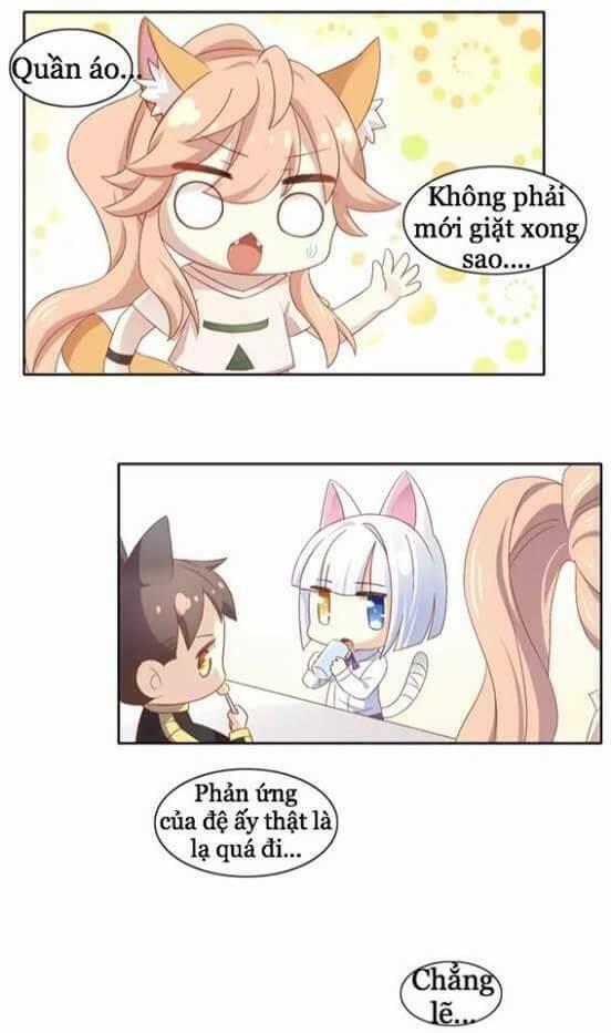 Dưới Móng Vuốt Mèo: Chapter 10