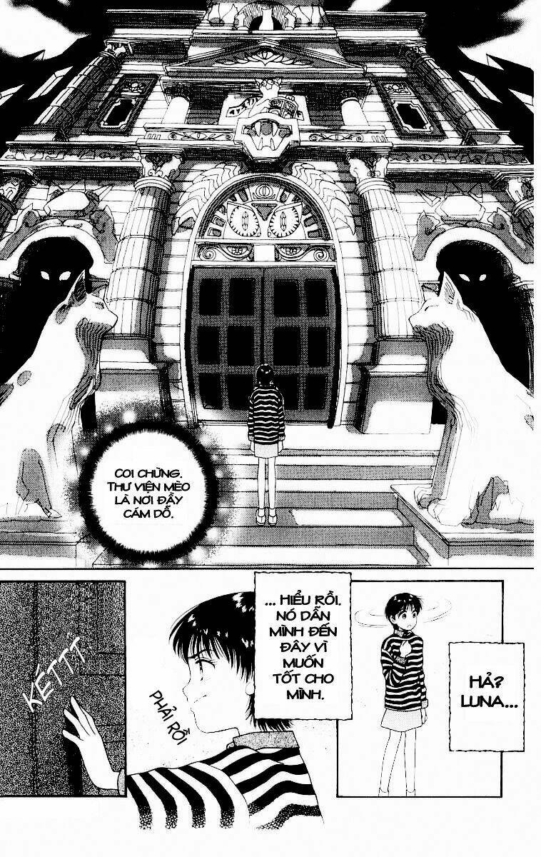 Lời Thì Thầm Từ Trái Tim: Chapter 5
