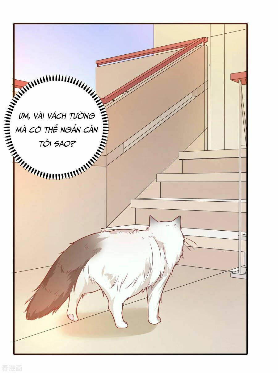 Hẹn Hò Siêu Tốc: Chapter 27