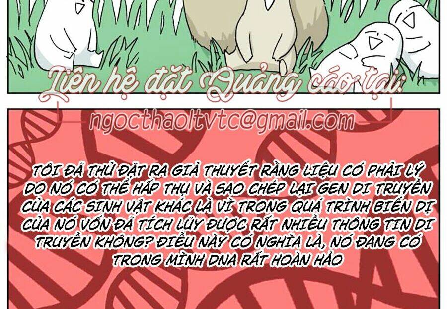 Đại Chiến Muỗi Biến Dị: Chapter 40